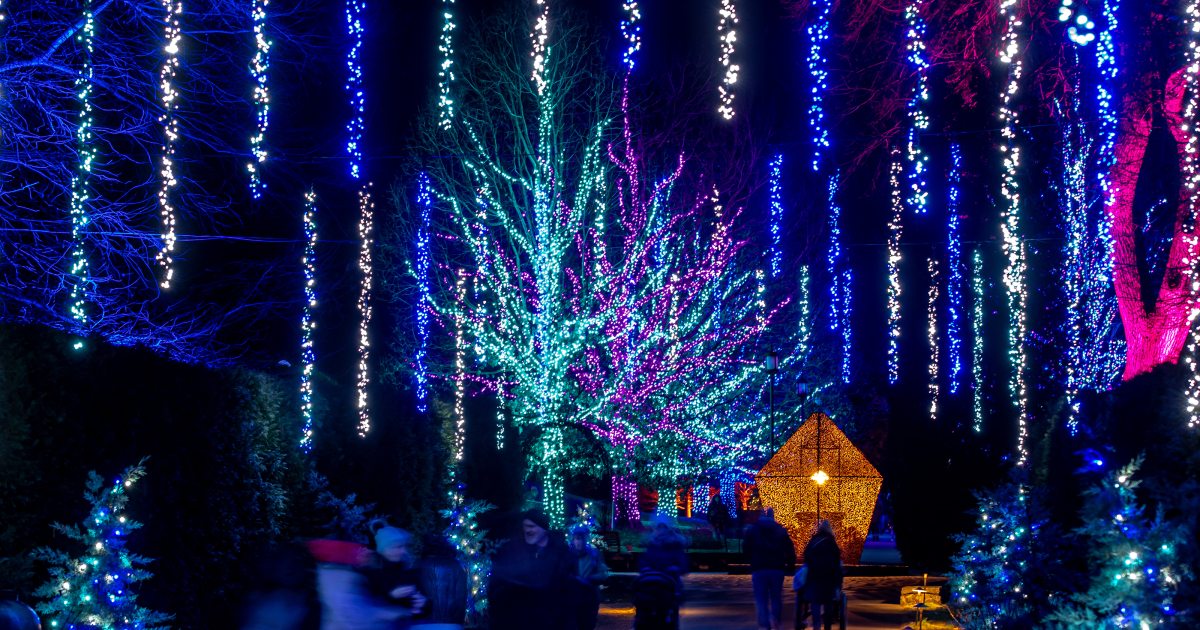 A Longwood Christmas | Longwood Gardens